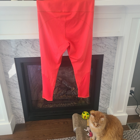 Adidas x Ivy Park Rib Panel Tights Real Coral - Picture 3 of 5